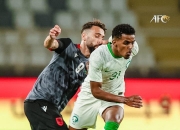 开云体育平台APP-包含阿尔巴尼亚战平，小组出线形势严峻的词条