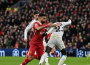 开云体育登录-关于欧预赛实录：比利时队抢分成功的信息