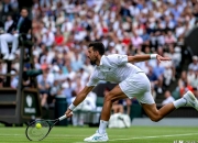 开云体育直播-戴维斯杯力克美网，德约科维奇刷新纪录