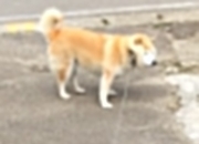 开云平台-单节风暴与抢七主宰，尼克斯的团队狂潮与马克西的个人英雄主义