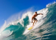 开云体育直播-戈贝尔，攻防转换的轴心—鹈鹕与骑士对决中的隐形主宰