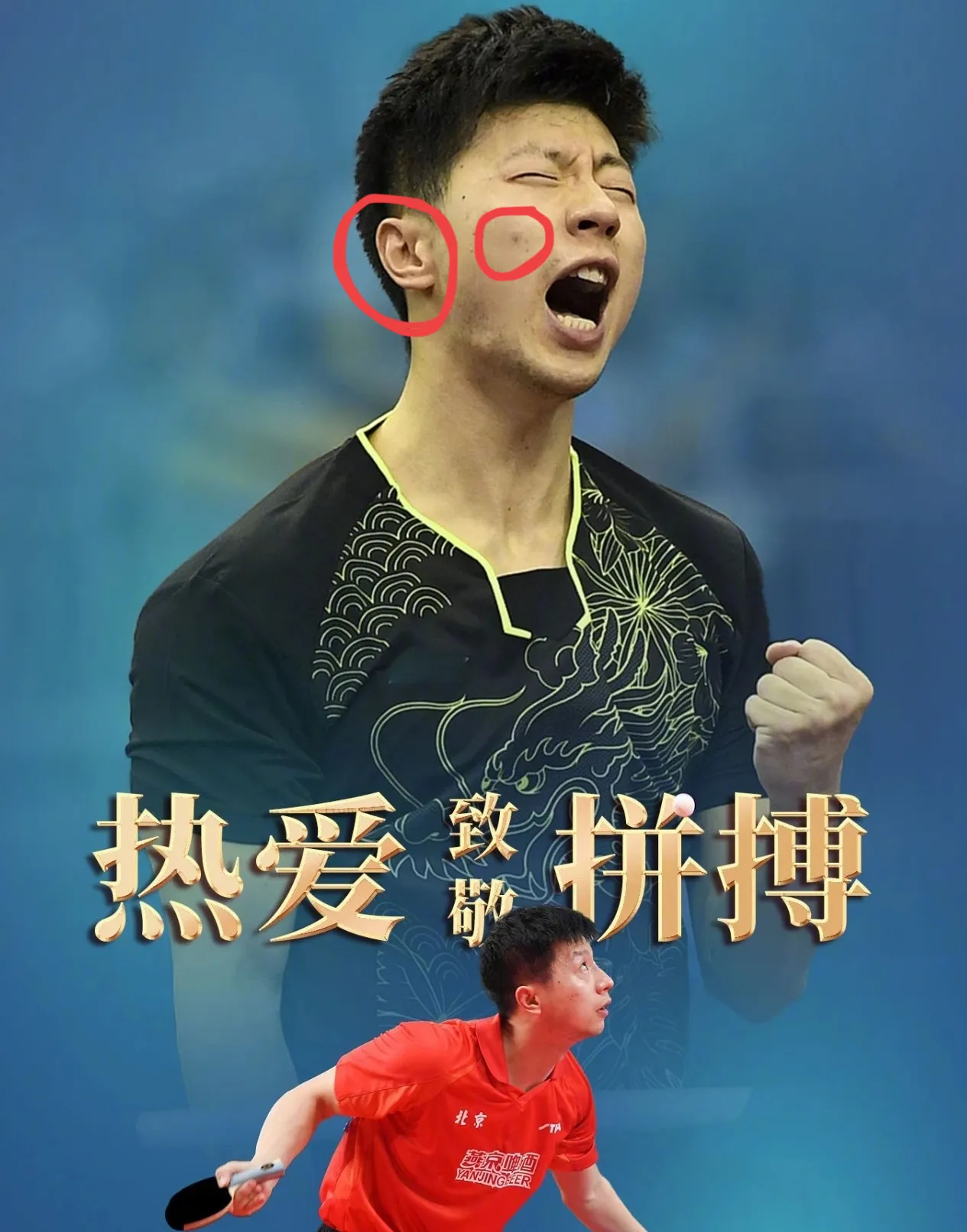 关于日本乒乓球队险胜比利时乒乓球队，马龙绝境逆转的信息