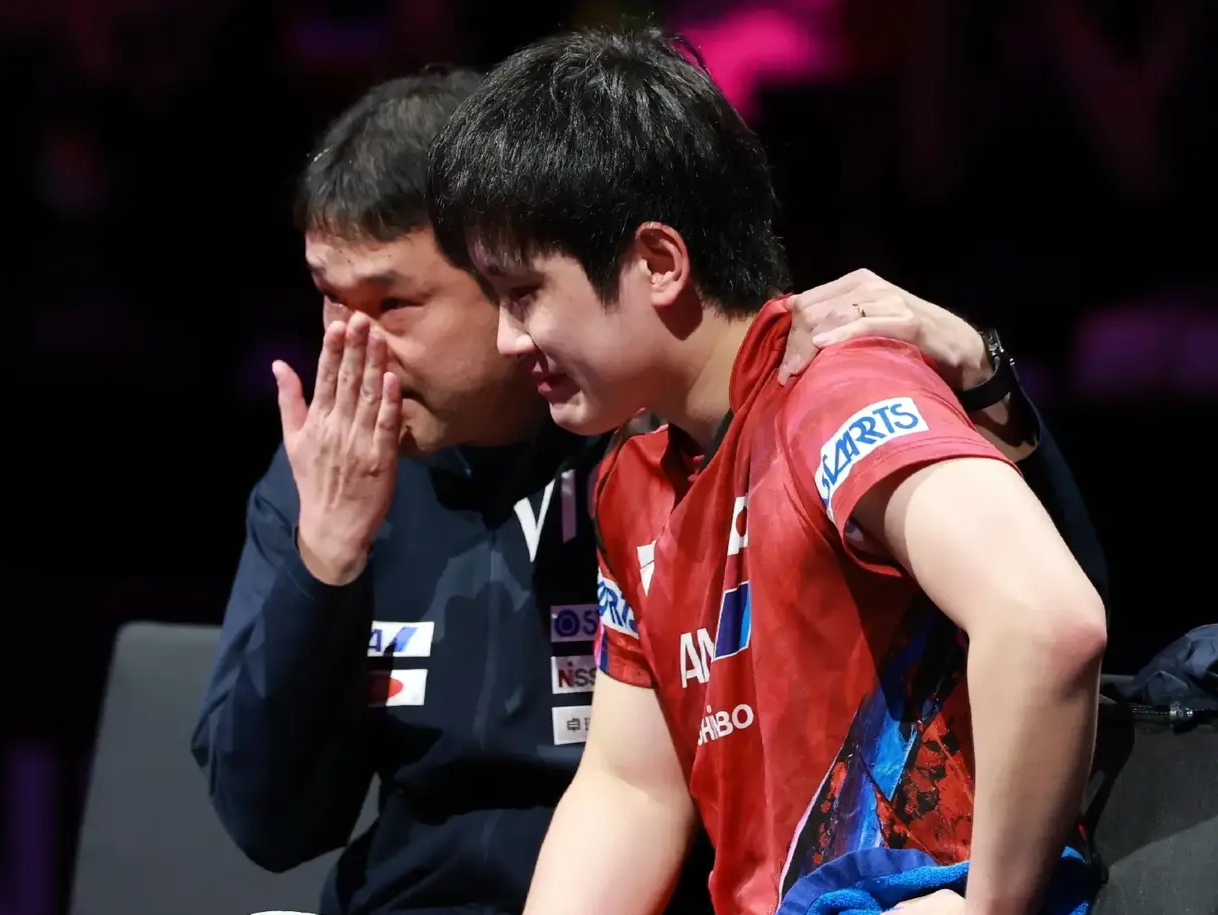 包含中国队力克瑞典队，张本智和惊艳四座的词条