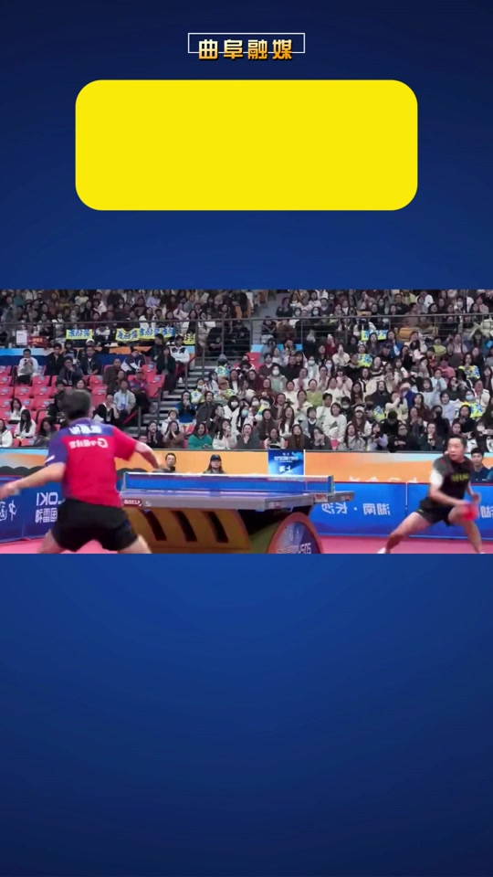 中国队横扫波兰队，许昕高光表现