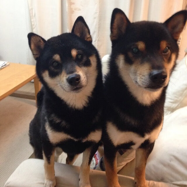 欧冠决赛之夜，小贾伦冠军级表现